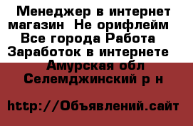 Менеджер в интернет-магазин. Не орифлейм - Все города Работа » Заработок в интернете   . Амурская обл.,Селемджинский р-н